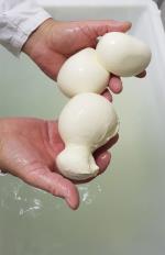 Hände mit frischen Mozzarella-Kugeln © Mozzarella Manufaktur La Latteria