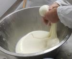 Hände, die Mozzarella aus der Molke holen © Mozzarella Manufaktur La Latteria