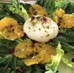 Mozzarella auf Salatbett © Mozzarella Manufaktur La Latteria