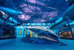 Haie und Wale in einem Museum © RAAI/Daniel Stauch