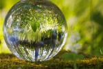 Natur, die sich in einer Glaskugel spiegelt © Pixabay