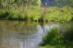 Wasserlauf © G. Hezel