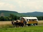 Pferdewagen mit Fahrgästen
© Kloster Maulbronn
