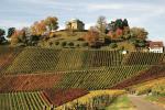 Grabkapelle und Weinhang
© Stuttgart-Marketing