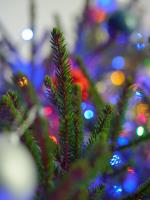 Tannenzweig mit bunten Lichtern. © Pixabay