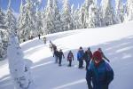 Schneeschuhwanderung © Pixabay, CC0