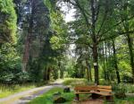 Bank auf Waldlichtung © komoot