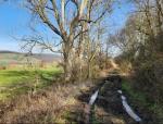 Feldweg im Winter © Komoot
