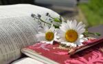 Aufgeschlagenes Buch mit Blumen © Pixabay, CCO