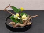 Ikebana-Werk mit weißen und gelben Blumen © B. Friedrich-Wittig