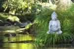 meditierender Buddha am Bach ©  Punto Studio Foto - Fotolia