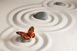 Zen-Garten mit Schmetterling auf Stein © Pixabay