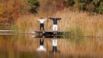 ein Mann und eine Frau praktizieren Qigong am See © Dr. Björn Schwander