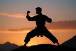 Bild eines Kung Fu-Kämpfers © Pixabay, CC0