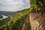 Blick auf Neckarschleife aus Weinbergen© pixabay