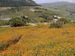 Sizilien - Agrigent (c) pixabay