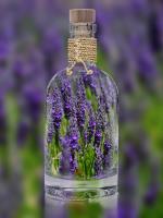 Lavendel in Glasflasche, mit Paketschnur an Flaschenhals verziert
(c) Pixabay Lavendel in Glasflasche, mit Paketschnur an Flaschenhals verziert
(c) Pixabay