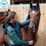 Frau streicht über Pferd © Schwaderer Frau streicht über Pferd © Schwaderer